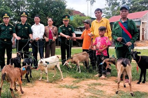 Trao 54 mô hình sinh kế cho hộ nghèo vùng biên Keng Đu