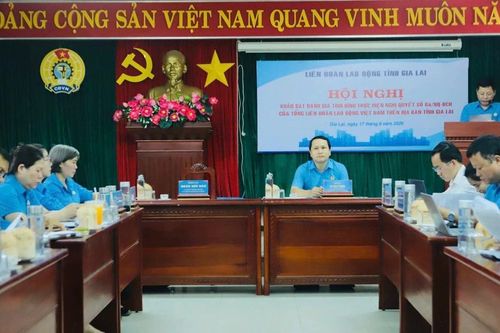 Tổng LĐLĐ Việt Nam khảo sát việc thực hiện Nghị quyết 6a tại LĐLĐ tỉnh Gia Lai