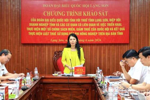 Đoàn đại biểu Quốc hội tỉnh khảo sát việc triển khai một số chính sách thuế