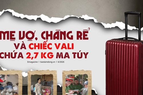 Mẹ vợ, chàng rể và chiếc vali chứa 2,7 kg ma túy