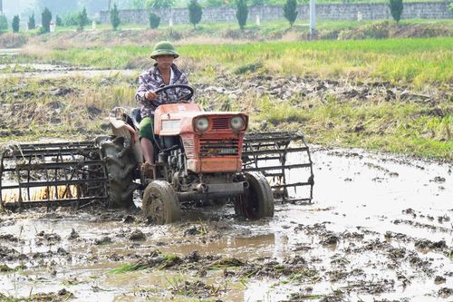 Bắt nhịp sản xuất vụ mùa