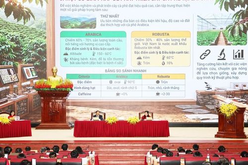 Kỳ họp thứ Tư, HĐND tỉnh Lai Châu khóa XVI Nỗ lực hoàn thành mục tiêu tăng trưởng GRDP từ 10% trở lên