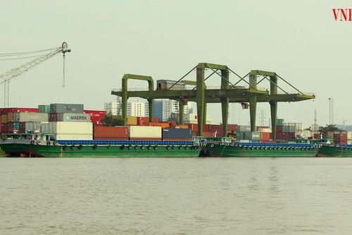 Lịch tàu chệch nhịp, cước biển leo thang: Doanh nghiệp xuất khẩu xoay sở ra sao?