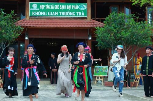 Thái Nguyên kết nối hệ sinh thái trà với du lịch trải nghiệm