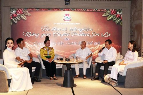 Đưa cà phê Arabica Sơn La trở thành thương hiệu chất lượng cao