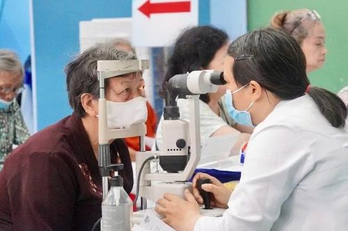 Cử tri Thành phố Hồ Chí Minh kiến nghị nhiều vấn đề dân sinh