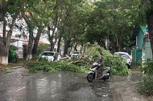 Dông lốc quét qua Huế khiến hàng chục nhà dân bị tốc mái, nhiều cây trồng bị hư hại
