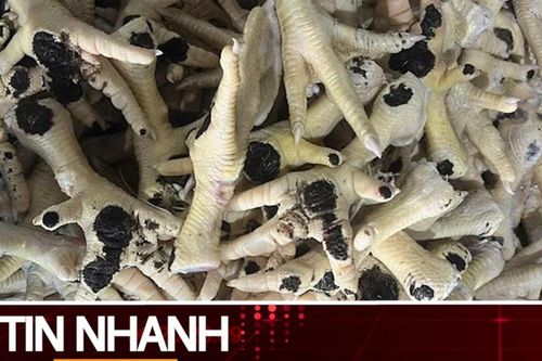 TIN NHANH: Kinh hoàng nguồn gốc và đường đi của hàng chục nghìn tấn chân gà đông lạnh nhập lậu