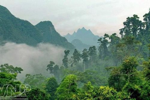 Phát triển Vườn Quốc gia Xuân Sơn thành điểm du lịch sinh thái trọng điểm