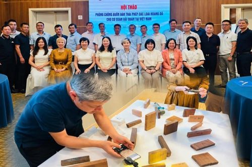 Hải quan nâng cao năng lực ngăn chặn buôn bán động, thực vật hoang dã xuyên biên giới