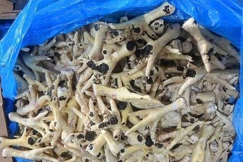 Nữ Giám đốc điều hành doanh nghiệp bán hàng nghìn tấn chân gà mốc đen ra thị trường khai gì tại cơ quan điều tra?