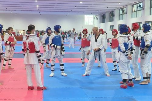 Taekwondo Hà Nội: Hành trình giữ vững vị thế số 1