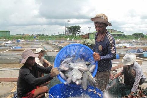 Về miền Tây nghe con nước kể chuyện
