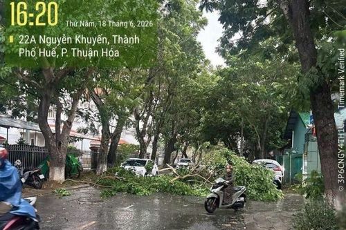 Tp. Huế: Hiện tượng thời tiết cực đoan tác động đến nhiều địa phương