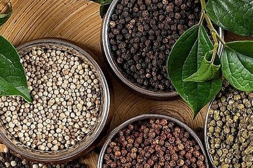 Giá tiêu hôm nay 19/6: Thế giới giảm, trong nước đi ngang