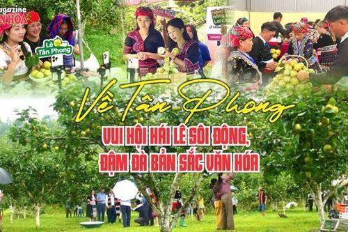 (Emagazine) Về Tân Phong vui hội hái lê sôi động, đậm đà bản sắc văn hóa