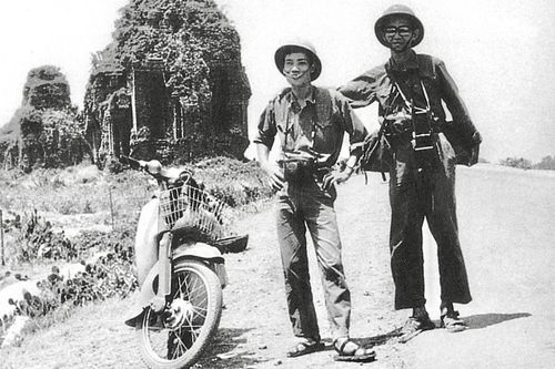 'Chỉ cây đời mãi xanh tươi'