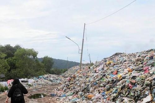 Phóng viên môi trường và những câu chuyện về 'ngôi nhà chung'
