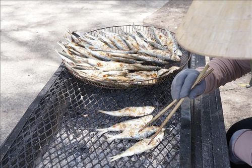 Độc đáo nghề bán cá trích nướng ven biển Quảng Trị