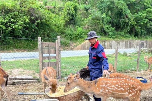 Mở hướng làm kinh tế cho vùng cao:Những mô hình kinh tế mới