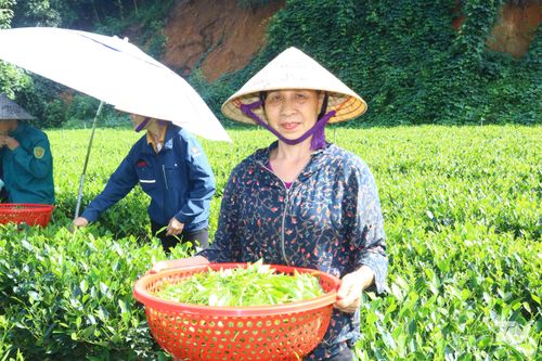 Nghị lực vượt qua nghịch cảnh