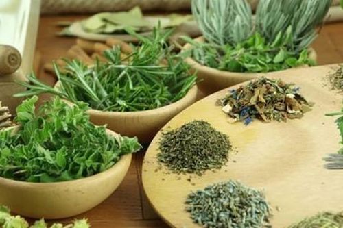 Bộ Y tế phân cấp việc đánh giá, bổ sung dược liệu đạt GACP cho UBND tỉnh từ 1/7
