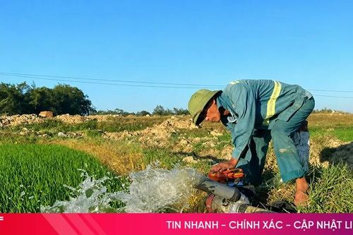 Tăng cường điều tiết nước, đảm bảo lúa hè thu sinh trưởng ổn định