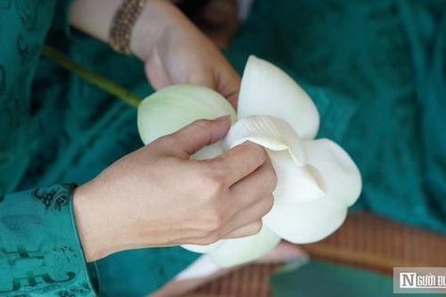 Du khách thích thú ngắm sen, thưởng tiệc cung đình giữa Đảo Bồng Lai