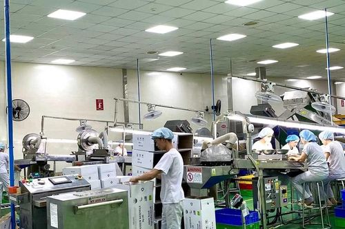 Gia Lai khơi thông nguồn lực khu vực tư nhân, tạo động lực tăng trưởng mới