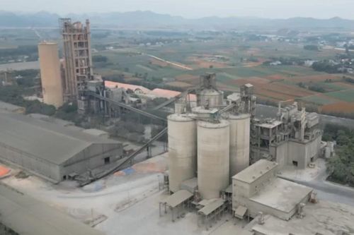 Vicem báo lãi hơn 500 tỷ đồng trong 6 tháng đầu năm