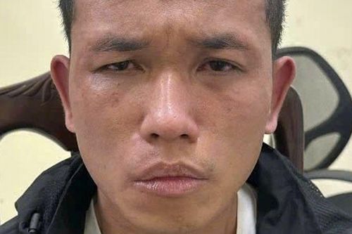 Đề nghị truy tố 'siêu trộm' Lê Trọng Lâm