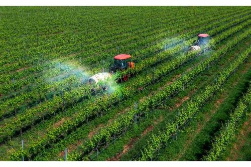 TOÀN VĂN: Nghị định 214/2026/NĐ-CP xử phạt vi phạm hành chính về trồng trọt, bảo vệ và kiểm dịch thực vật