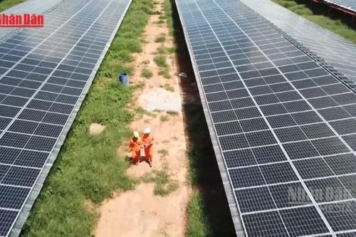 [Video] Doanh nghiệp Việt trong làn sóng đầu tư năng lượng tái tạo