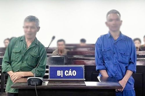 Anh em ruột lĩnh án tù vì tranh chấp con bò