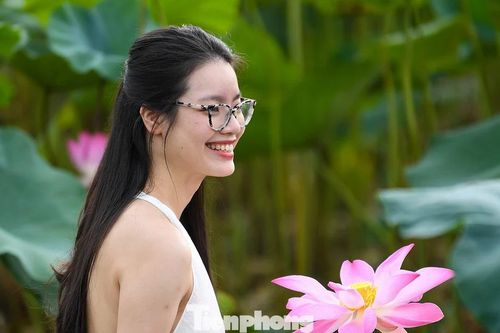 Giới trẻ chi tiền triệu chụp bộ ảnh sen Hồ Tây
