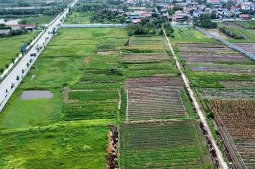 Khu đô thị 1.500 tỷ đồng do RIG Group làm chủ đầu tư tại Thanh Hóa vẫn bãi đất trống sau 4 năm