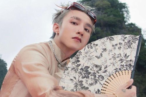 Nghệ sĩ Lê Giang tuyên bố liên quan đến Sơn Tùng: 'Cô thích thì cô làm'