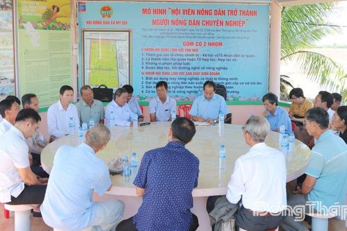 Tham quan, học tập kinh nghiệm mô hình sản xuất lúa tại Hợp tác xã Dịch vụ nông nghiệp Thắng Lợi