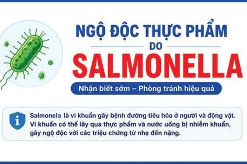 Ngộ độc thực phẩm do vi khuẩn Salmonella, nhận biết sớm và phòng tránh hiệu quả