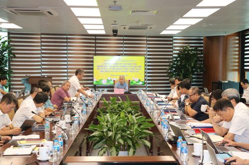 TKV: Đảm bảo chất lượng báo cáo khả thi Dự án Alumin Nhân Cơ
