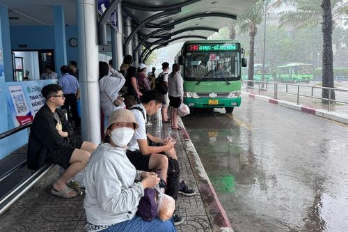 TP.HCM sắp triển khai chương trình xe buýt miễn phí lớn nhất từ trước đến nay
