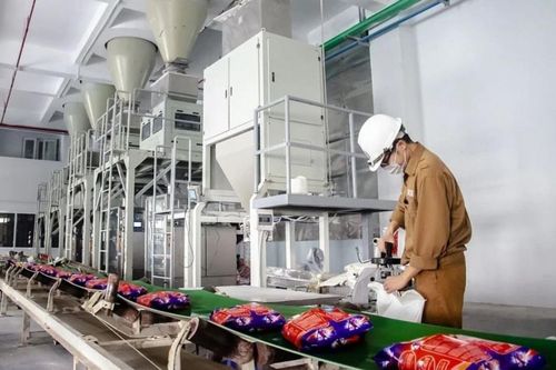 Hóa chất Đức Giang giải trình ý kiến ngoại trừ của kiểm toán