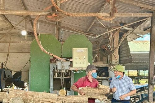 Người nông dân dựng 'đế chế xanh' trên đất Ái Tử