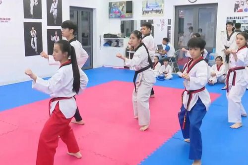Giải Taekwondo hè 2026: Võ sinh Đống Đa sẵn sàng cho ngày hội
