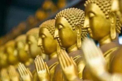 Kinh Hoa Nghiêm Đại Phương Quảng Phật tóm lược (Quyển 24)