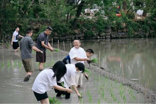 Hoạt động lạ của Jack Ma