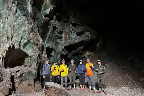 Quảng Trị phát hiện hang động mới giữa rừng nguyên sinh