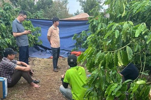 Nghi án chồng giết vợ rồi bỏ về quê