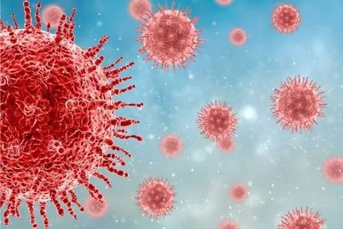 Bé trai sốc tim vì loại virus cảm cúm thông thường