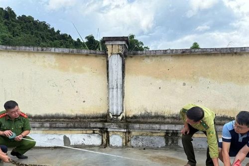 Phát hiện trăn rừng dài 3 mét bò vào khu vườn